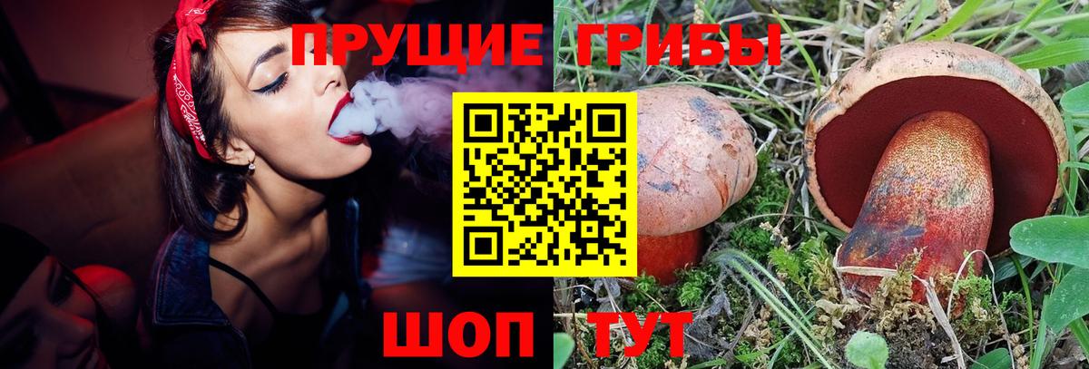 Псилоцибиновые грибы мицелий Курчатов